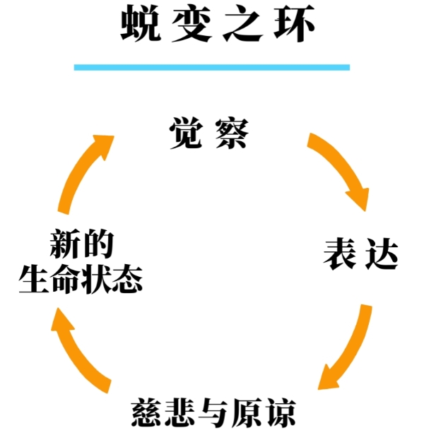 蜕变之环示意图